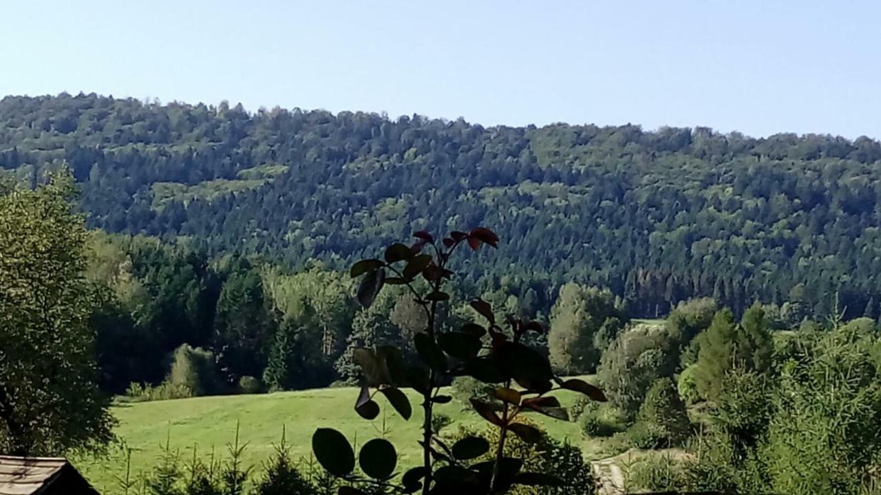 Mietowy Aniol Villa Ustrzyki Dolne Exterior foto