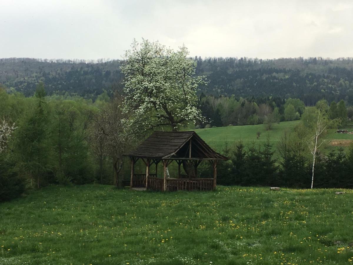 Mietowy Aniol Villa Ustrzyki Dolne Exterior foto