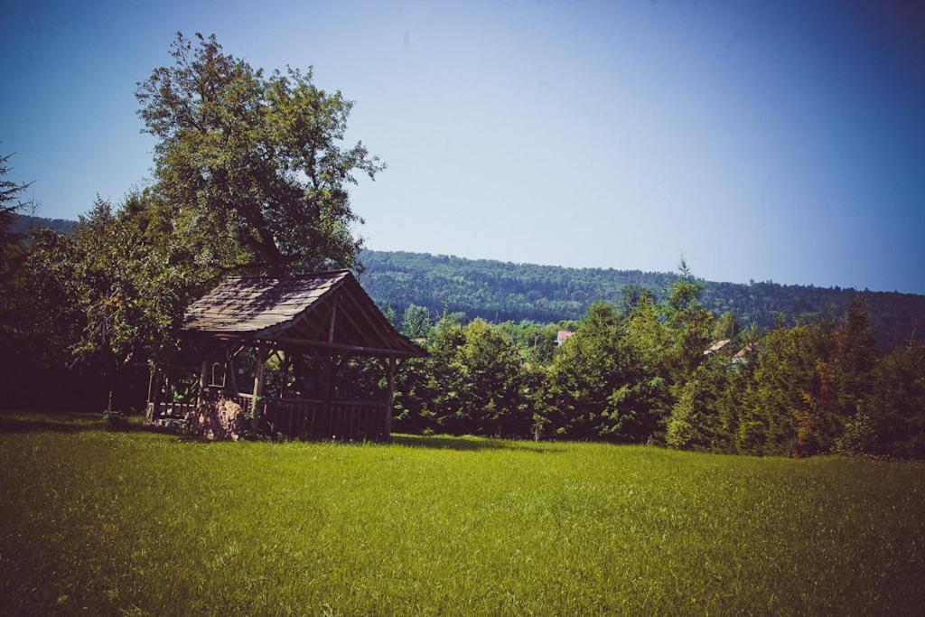 Mietowy Aniol Villa Ustrzyki Dolne Exterior foto